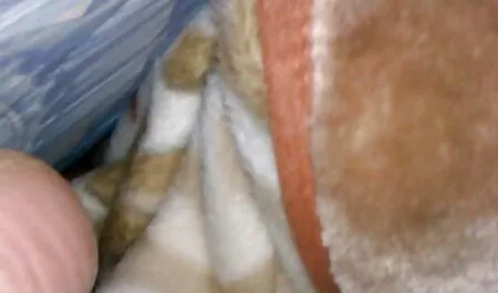 فاکر دو دختر مقعد و کام در دهان خود دانلود فیلم سینمایی سکسی با زیرنویس را لگد می زند