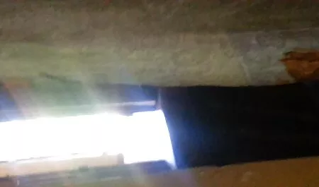 سبزه سکسی الاغ را فیلم سینمایی بدون سانسور سکسی جلوی وب کم می لرزد