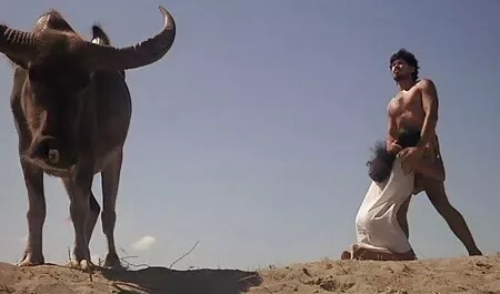 یک زن کانال سکسی تلگرام فارسی جوان سیاه پوست روی گله ها را نشان داد