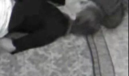 لزبین ها پورن با دوبله فارسی سعی می کنند جنگ کنند.